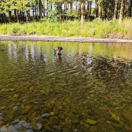 La'al Cabin, Tiny Home, Unique Space Eden Valley Cumbria *