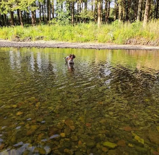 La'al Cabin, Tiny Home, Unique Space Eden Valley Cumbria *